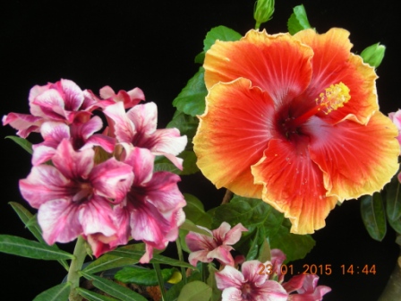 DSCN2319.JPG