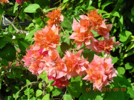 DSCN1931.JPG