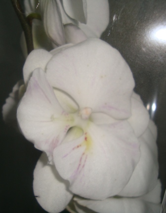 DSC01489.JPG
