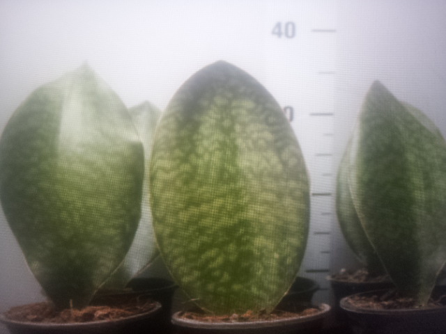 20150128_215737.jpg