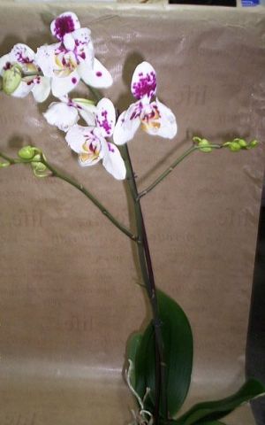 юююю.jpeg