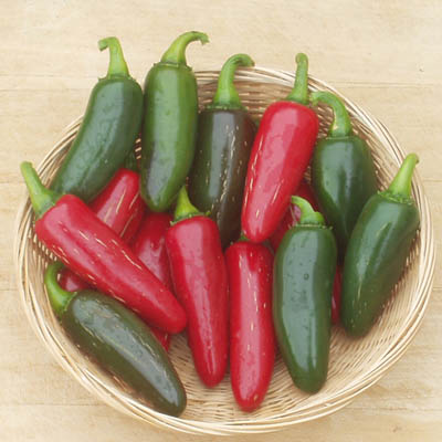 jalapeno1.jpg