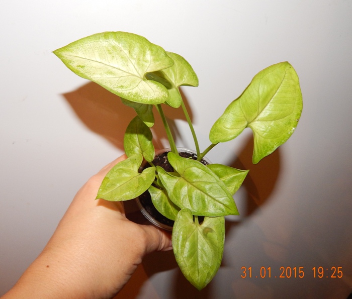 DSCN3599.JPG
