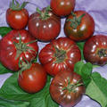 BLUEFRUIT1.JPG
