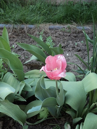 DSC01201.JPG