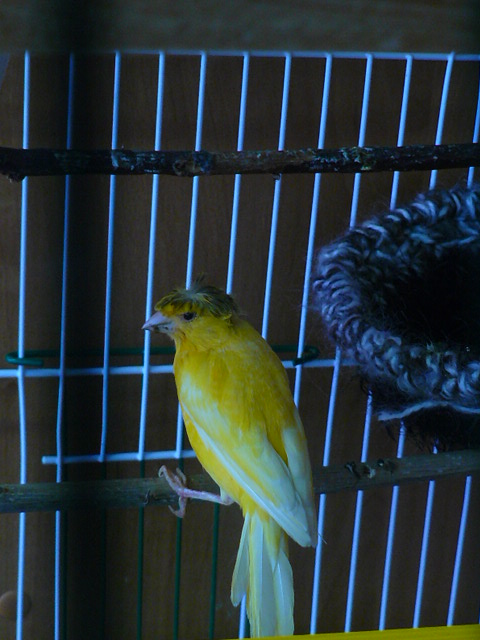 P1100824.JPG