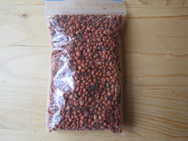 лимонник семена.jpg