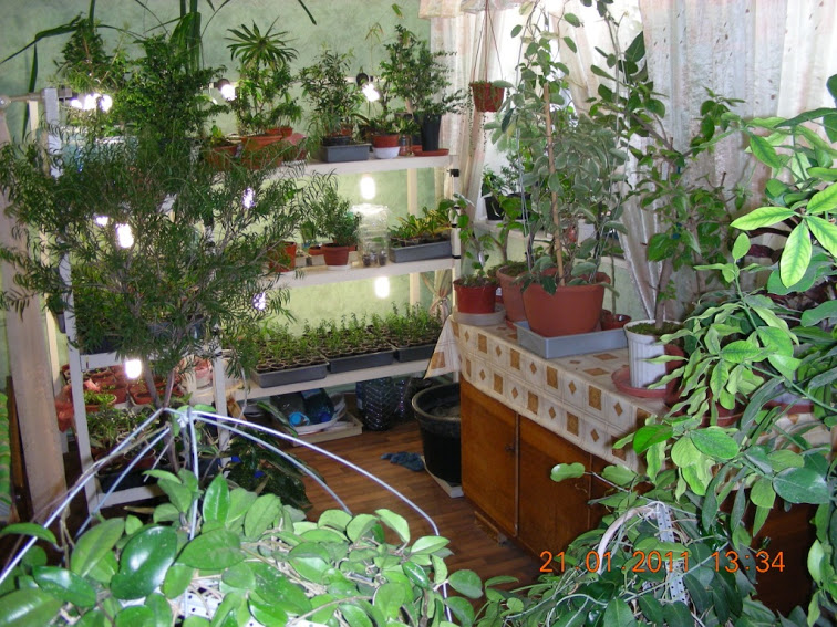 C 003.jpg