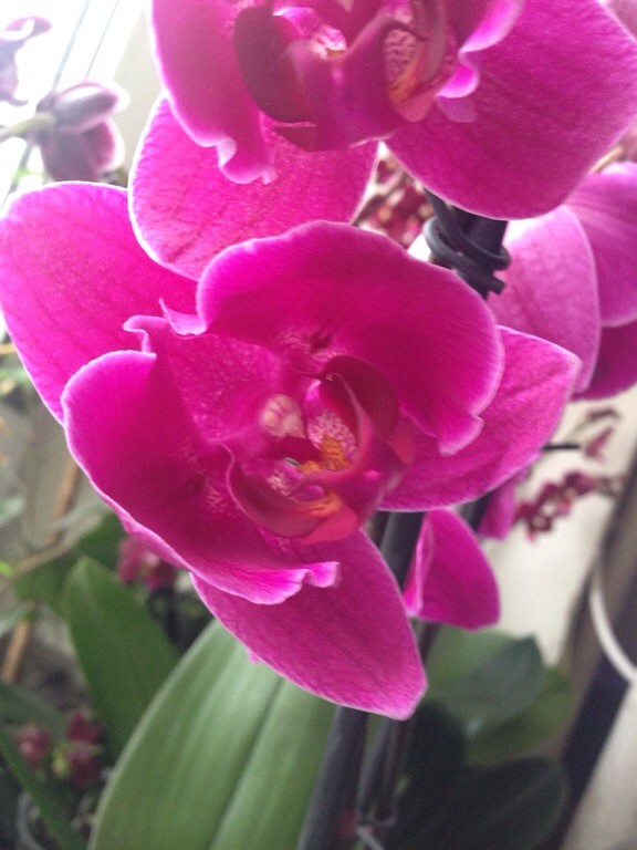 image68.jpg