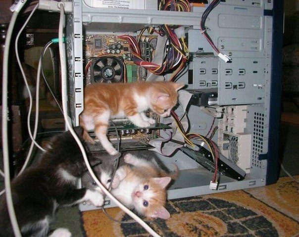 тех.jpg