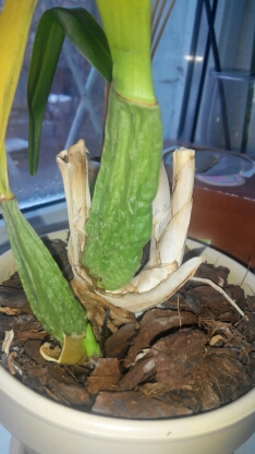 20150222170455.jpg