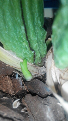 20150222170508.jpg