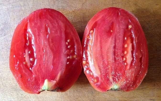 image (6)_2.jpg