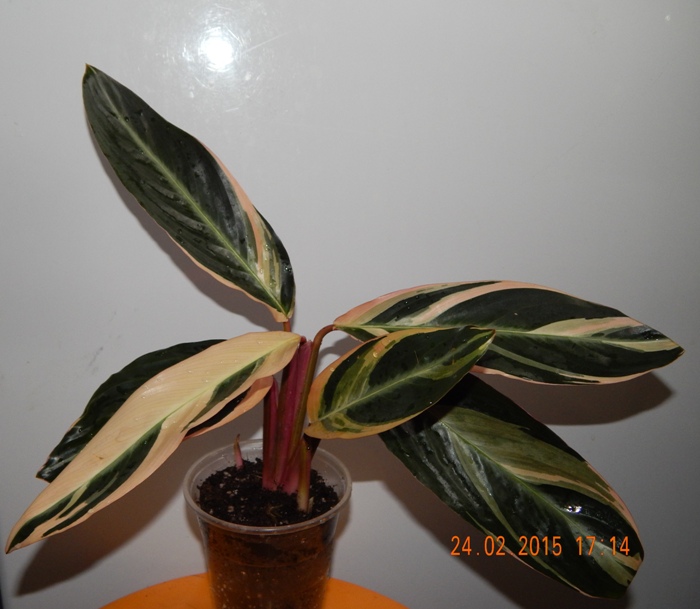 DSCN3670.JPG