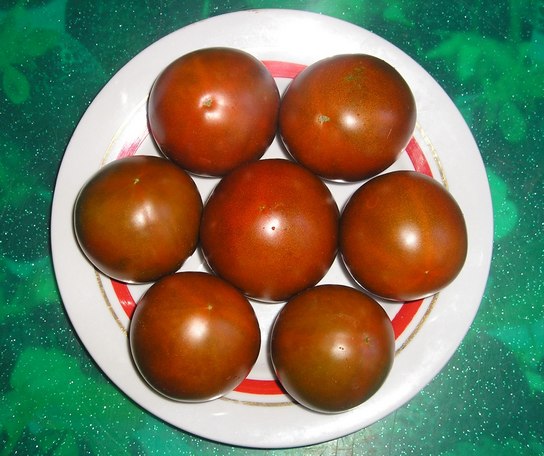 001_4.JPG