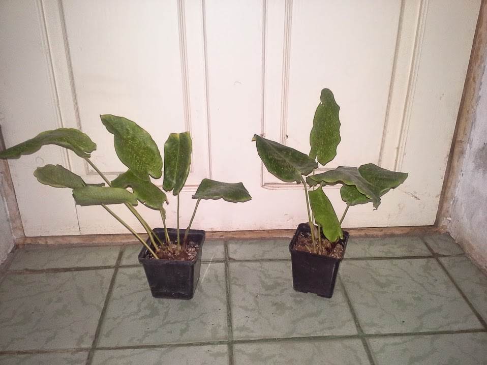 20150302_221151.jpg