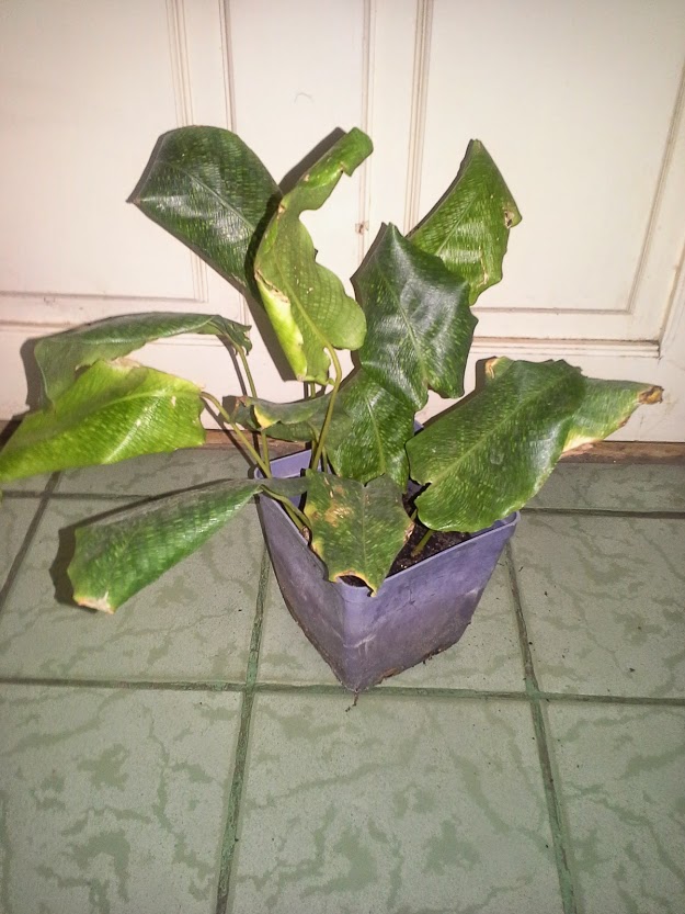 20150302_221230.jpg