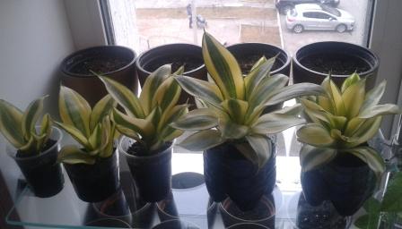 2015-03-06 10.15.11.jpg