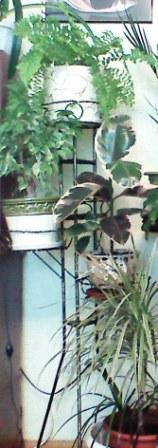 P434_02_10_2010.jpg