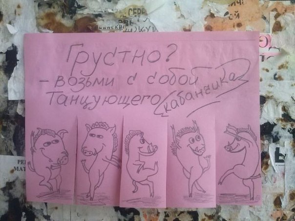 кабанчик.jpg