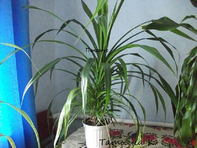 578986_20140416114326_600x600.jpg