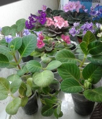 2015-03-14 13.07.03.jpg
