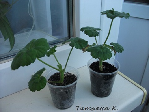 DSCF4355.jpg
