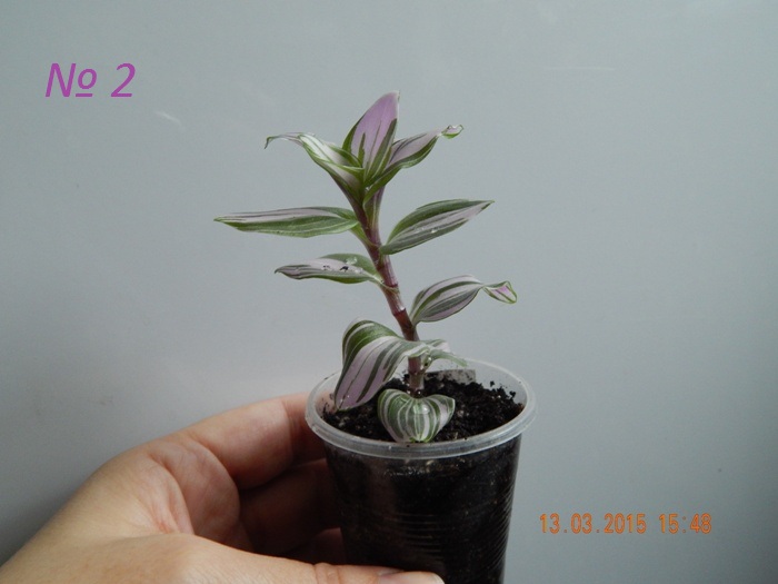 DSCN3719.JPG