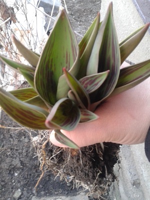 20150315_170447.jpg