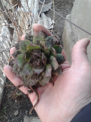 20150315_170606.jpg