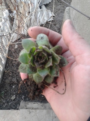 20150315_170407.jpg