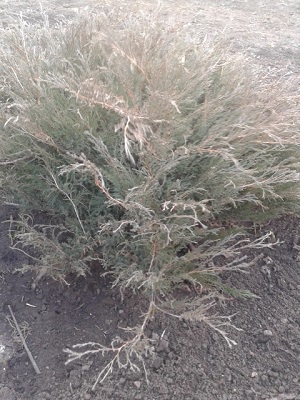 20150315_170746.jpg