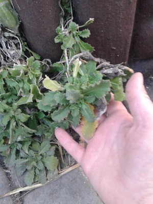 20150315_170812.jpg