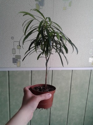 20150318_123759.jpg