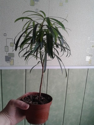 20150318_123807.jpg