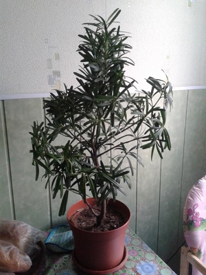 20150318_123854.jpg
