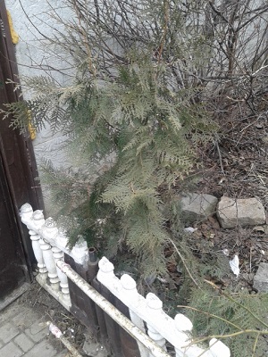 20150318_102010.jpg