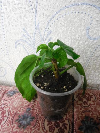 Изображение 158.jpg
