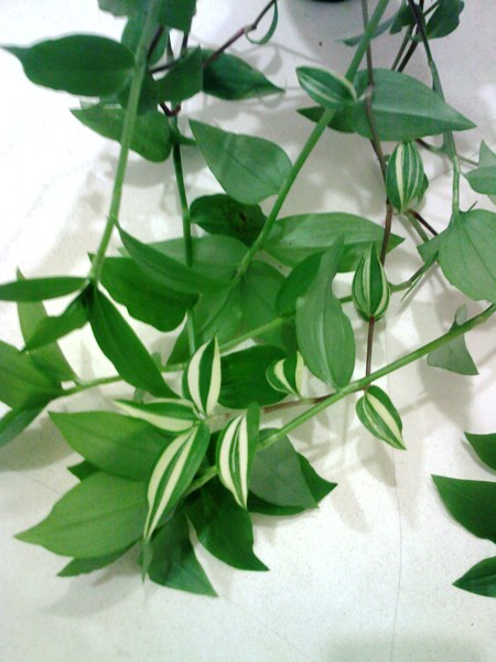 SP_A6912.jpg