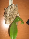 IMG_2888.JPG