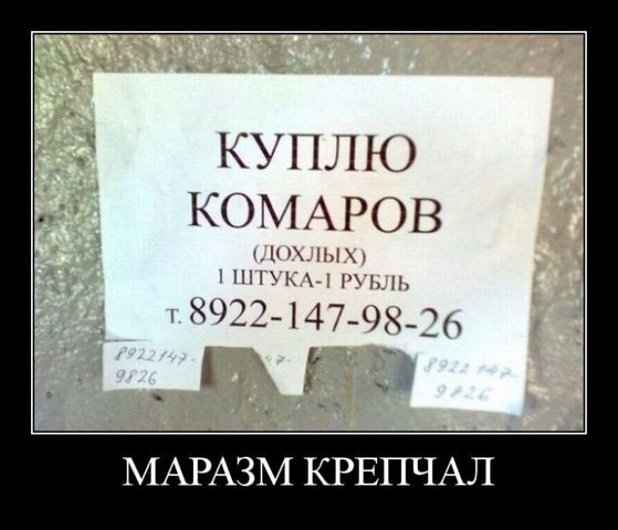 demotiv_6.jpg