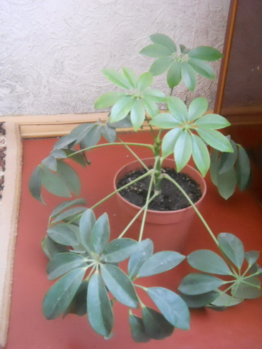 DSCN4057.JPG