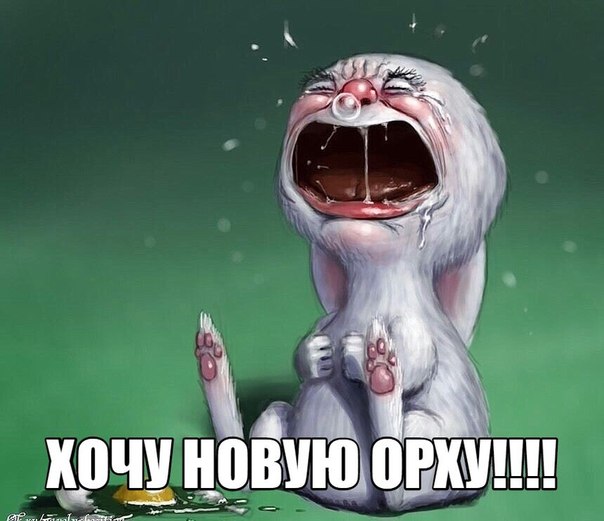 орха ).jpg