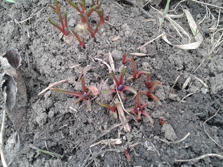 20150318_102439.jpg