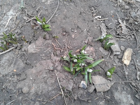 20150318_102543.jpg