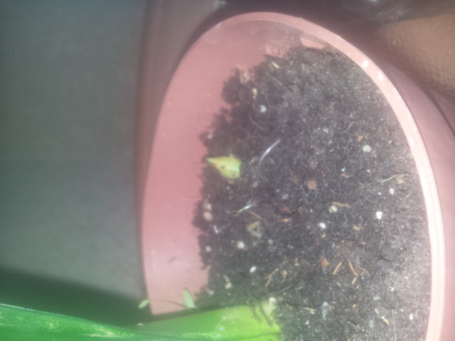 20150327_104229.jpg