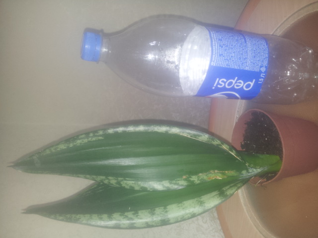 20150327_104221.jpg