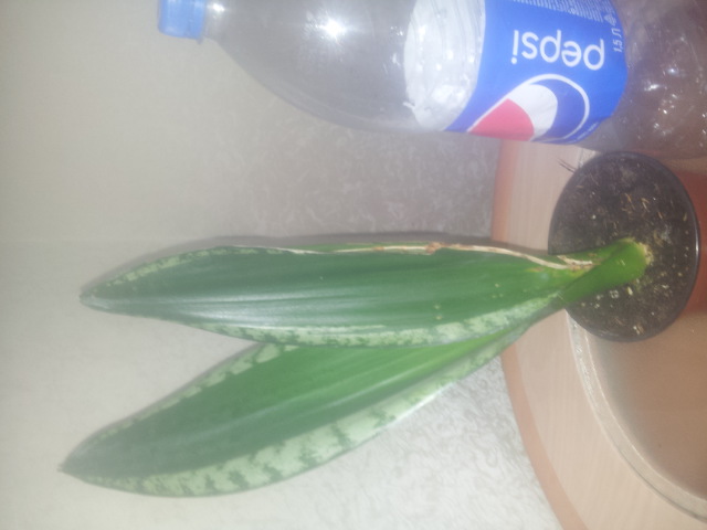 20150327_105504.jpg