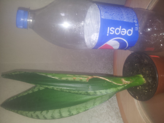 20150327_105440.jpg
