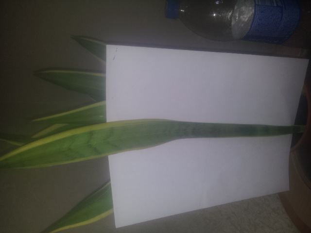 20150327_110926.jpg
